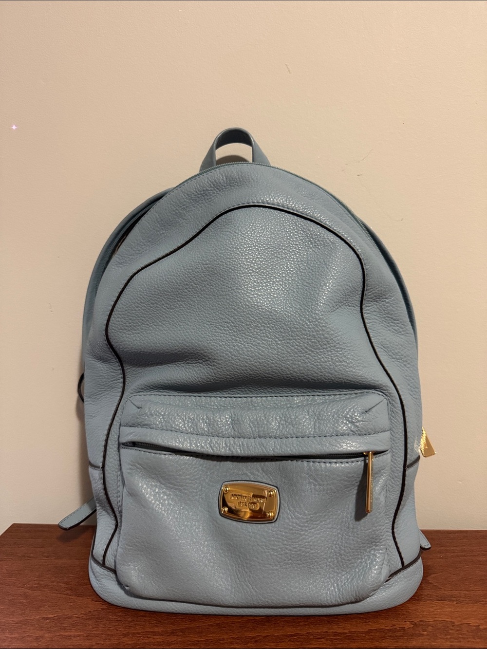 Light Blue Pebbled Leather Backpack with Gold Plate
